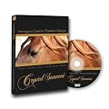 Crystal Samani - Hommage au Cheval et � l'Equitation / Homage to the Horse and Classic Horse-riding