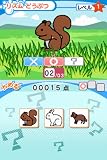 「NEW 右脳キッズ DS」の関連画像