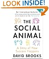 The Social Animal: A Story of How Success Happens