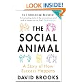The Social Animal: A Story of How Success Happens