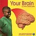 Your Brain (Your Body)