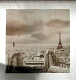 Paris, France Shower Curtain