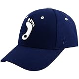 Zephyr North Carolina Tar Heels Navy DHS Fitted Hat