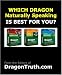 DON'T BUY THE WRONG VERSION OF DRAGON NATURALLYSPEAKING: Compares Naturally Speaking ...