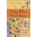 Pray What God Says