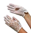 Cosette Short Gloves in White Lace and Sheer