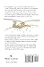 Mwana Mdogo Wa Mfalme (Le Petit Prince) (Swahili Edition)