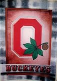 Ohio State Impressions Mini Flag