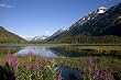Beauty to the Horizon In Alaska's Chugach National Forest - Breathtaking 16x20 Photographic Print By Carol M. Highsmith
