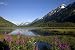 Beauty to the Horizon In Alaska's Chugach National Forest - Breathtaking 16x20 Photographic Print By Carol M. Highsmith