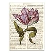 All Occasion Tulipa 11 - 5" x 7" Vellum Thank You Greeting Card