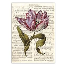 All Occasion Tulipa 11 - 5" x 7" Vellum Thank You Greeting Card