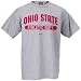Nike Ohio State Buckeyes Ash Athletic Department Locker Room T-shirt