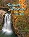Minnesota / Wisconsin Travel & Recreation Directory 2010 / 2011 (Travel and Recreation Directories)