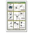Algra Fitnus Chart Series Chest Workout