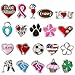 Floating Locket Color Enamel Charms