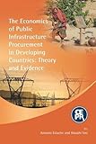 The economics of public infrastructure procurement in developing countries : theory and evidence