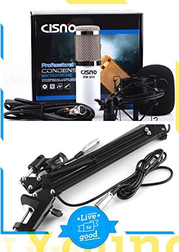White Professional Condenser Microphone Cardioid Studio Recording Mic +Arm Stand with Shock Mount