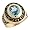 14k Gold March CZ Birthstone 2012 Graduation Mens Ring