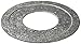 American Fittings Corp RW250100 2-1/2" x 1" Reducing Washer