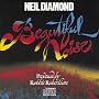 Beautiful Noise