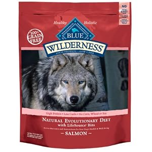Blue Buffalo Wilderness Grain Free Dry Dog Food, Salmon Recipe, 24-Pound Bag