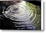 Rain Barrel Canvas Print / Canvas Art - Artist Carl Purcell