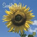 Sunflowers 2010 Square Wall (Multilingual Edition)