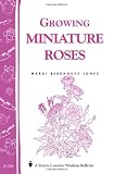 51tVzmErcxL. SL160  Growing Miniature Roses: Storeys Country Wisdom Bulletin A 116 (Storey/Garden Way Publishing Bulletin, a 116)