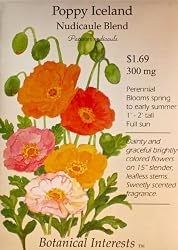 Poppy Iceland Nudicaule Blend Seeds