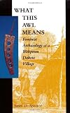 What This Awl Means: Feminist Archaeology at a Wahpeton Dakota Village: 1st (First) Edition