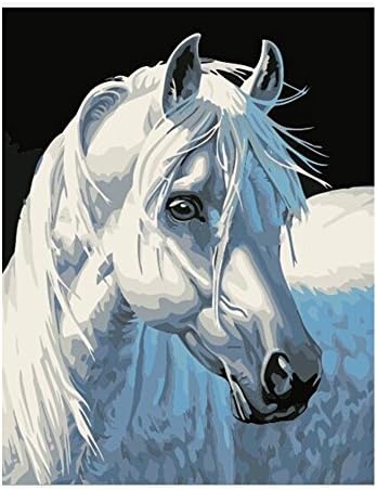 Haokuo Diy Oil Painting, Paint by Number Kit- White Horse 16*20 inch (Framed)
