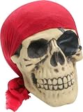 Scary Bones Pirate Skull Halloween Prop