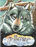 Review Oasis  / Reeves - Paint by Numbers Junior. Wolf