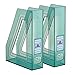 Acrimet Magazine File Holder, Durable Rack, Space-Saving Organizer (Plastic) (Clear Green Color) (2 pack)