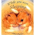 While You Were Sleeping (Board)