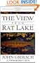 View From Rat Lake