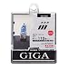 カーメイト GIGA ヘッドライトハロゲンバルブ ZERO REFINE H3C BD906