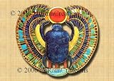 Scarab 11 x 14 Color Photograph (11-149) 51tWKhTEYaL. SL160 Noble Truths 11 x 14 Color Photograph (11 72) Reviews
