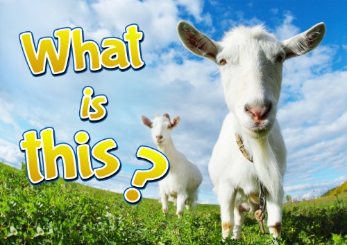 Children Books : What is it ? (Great , Funny Book for Children)  (Age 4 - 9) image