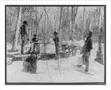 Historic Print XL Men pouring maple sap into gathering tanks Horse Shoe Forestry Co. Horse Shoe St. L