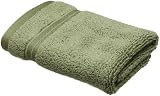 Christy Prism Washcloth, Moss
