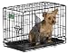Midwest iCrate Double-Door Folding Metal Dog Crate, 22 Inches by 13 Inches by 16 Inches
