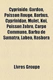 Cyprinid: Gardon, Poisson Rouge, Barbus, Cyprinidae, Mulet, Ko , Poisson Z Bre, Carpe Commune, Barbu de Sumatra, Labeo, Rasbora