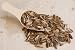 Unsalted In Shell Sunflower Seeds (10 Pound Case)