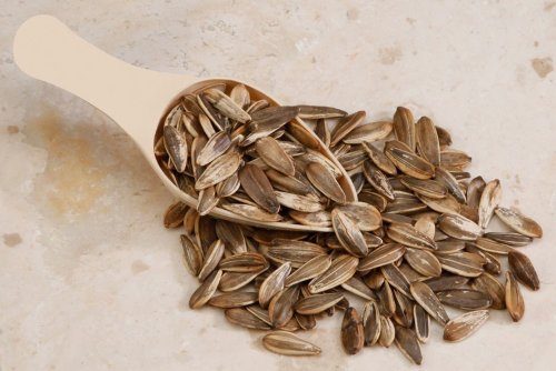 Salted In Shell Sunflower Seeds (10 Pound Case)