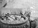 Photo Jigsaw 16x12 (40x30cm) Thailand *** Local Caption *** by Robert Harding