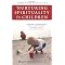 Essential Spirituality Reading List