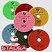 Stadea DPPD04SPRA100G1P Dry Stone Diamond Polishing Pad for Stone Granite Concrete Glass Travertine Marble Sanding Polishing with 4-Inch Grit 100