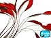 Moonlight Feather | 1 Dozen - Red Stripped Rooster Coque Tail Feathers Craft Costume Supply